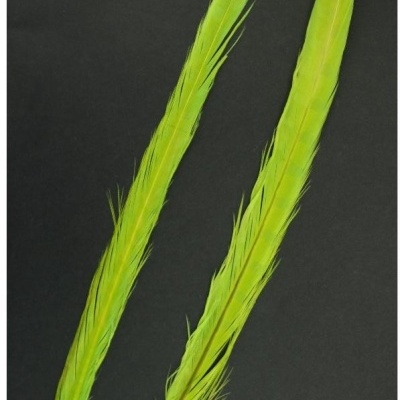 Duas penas longas verdes fluorescentes sobre fundo preto