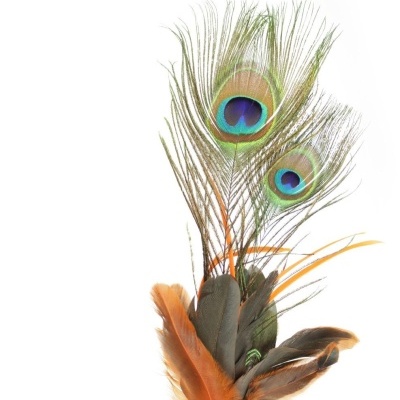 Penas decorativas coloridas em fundo branco