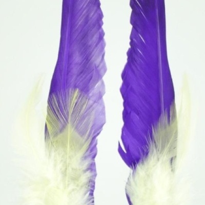 Duas penas roxas grandes com penas brancas e marrons na base
