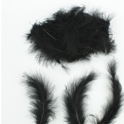 Três penas pretas e um grupo de penas pretas maiores sobre fundo branco