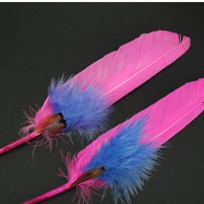 Duas penas cor-de-rosa com detalhes azulados sobre fundo preto