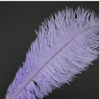 Pena lilás clara sobre fundo preto