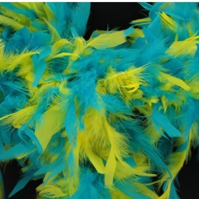 Penas azuis e amarelas sobre fundo preto