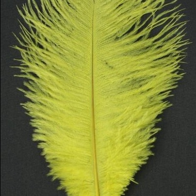 Pena decorativa amarelo-limão sobre fundo preto