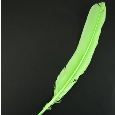 Pena verde clara sobre fundo preto