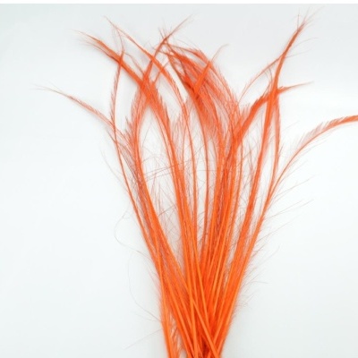 Penas laranja longas com textura fina sobre fundo branco