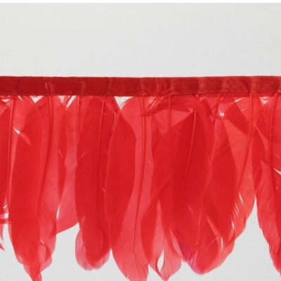 Franja decorativa com penas vermelhas