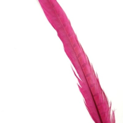 Pena rosa longa com textura natural sobre fundo branco