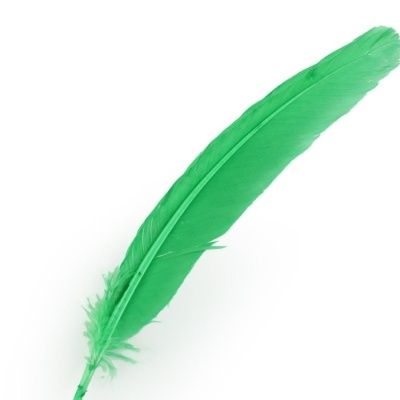 Pena verde grande sobre fundo branco