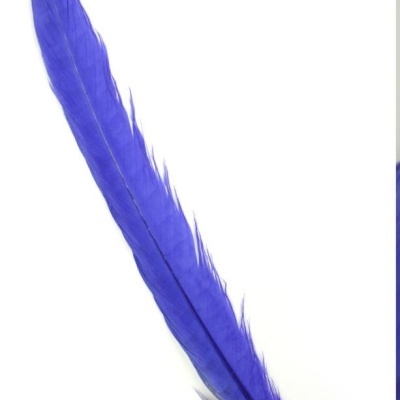 pena azul longa sobre fundo branco