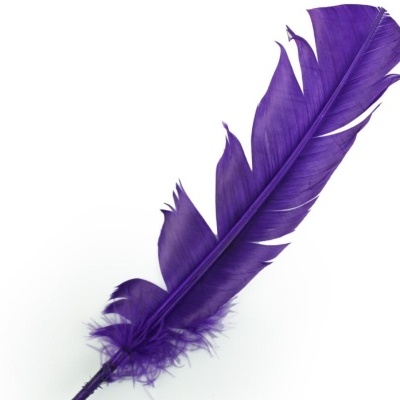 Pena roxa grande com textura detalhada e pontas irregulares