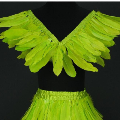 Conjunto de fantasia verde de penas com saia e coleira