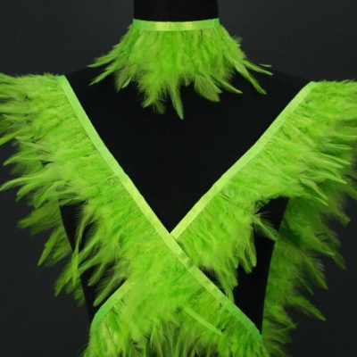 Conjunto de penas verdes fluorescentes com faixa cruzada e colar