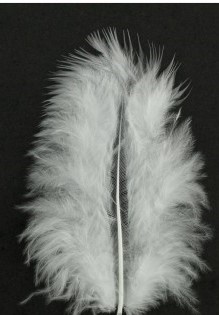 Pena branca fofa sobre fundo preto