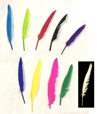 Penas coloridas em várias cores sobre fundo branco e uma pena branca sobre fundo preto