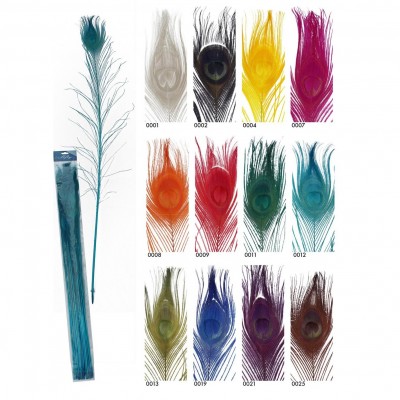 Penas de pavão coloridas organizadas em grelha com códigos numéricos