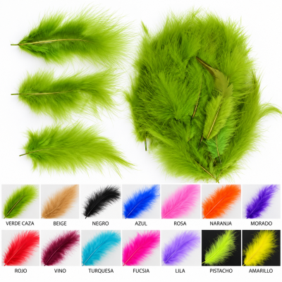 Conjunto de penas verdes com paleta de cores com nomes em espanhol
