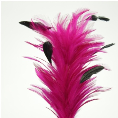 Penas decorativas cor-de-rosa e pretas sobre fundo branco