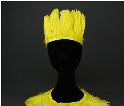 Cabeça de manequim com coroa e golas de penas amarelas