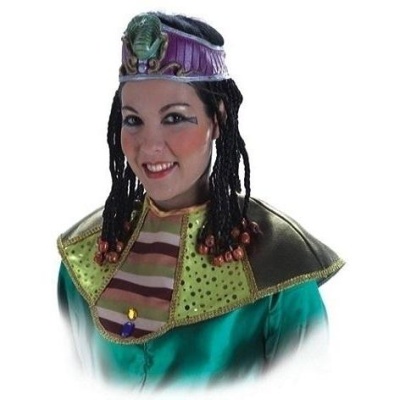 Fantasia com gola dourada e chapéu roxo com cobras