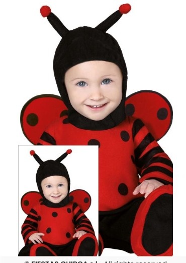 Criança a vestir fato de joaninha vermelho e preto com capuz e antenas.