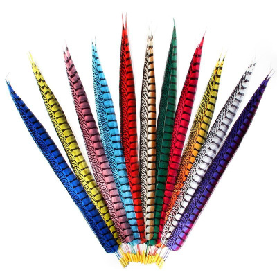 Conjunto de penas longas coloridas com padrão riscado em leque