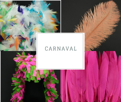 Penas coloridas, pena cor de pêssego, boá rosa e verde, texto CARNAVAL