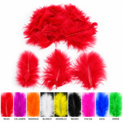 Conjunto de penas decorativas coloridas sobre fundo branco