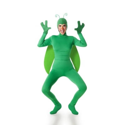 Pessoa a usar fato verde com asas e antenas
