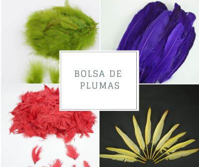 Quatro conjuntos de penas coloridas em verde, roxo, vermelho e amarelo com texto central Bolsa de Plumas