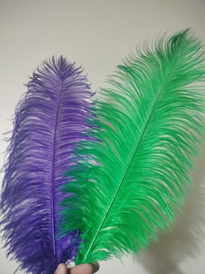 Duas penas grandes, roxa e verde, seguradas à mão contra fundo branco
