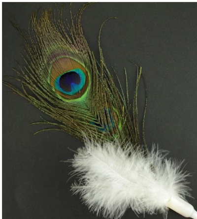 Pena decorativa colorida com base branca