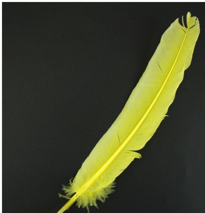 Pena amarela grande sobre fundo preto