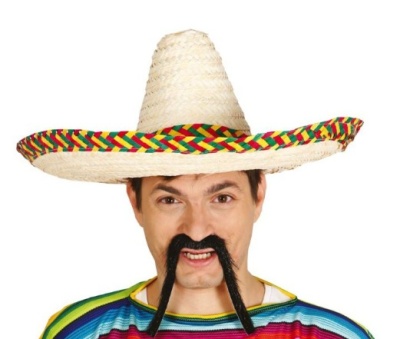 Homem com chapéu sombrero de palha colorido e bigode falso preto