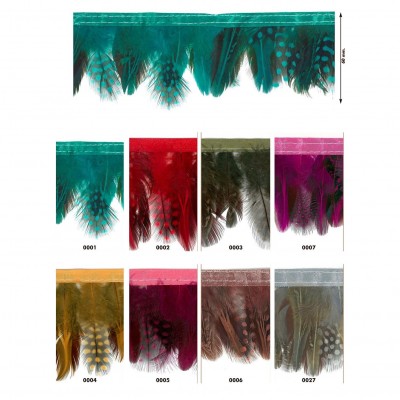 Franja decorativa de penas coloridas com etiquetas numeradas