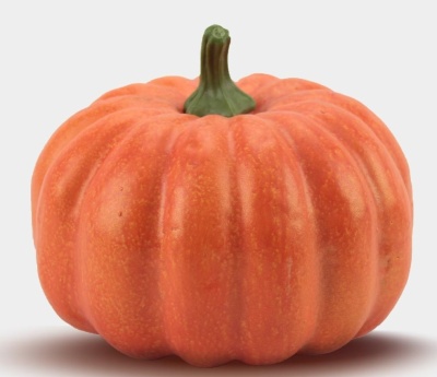 Abóbora laranja com caule verde numa superfície branca