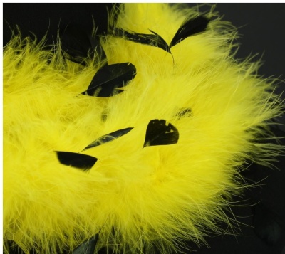 Penas amarelas e pretas macias sobre fundo escuro