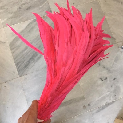 Ramo de penas rosa vibrante