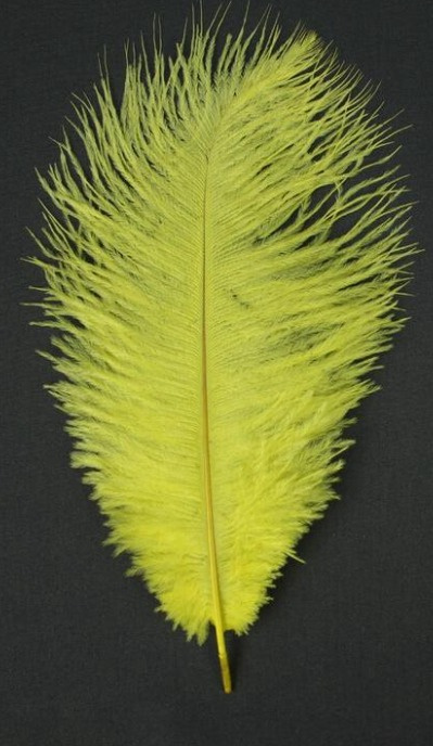 Pena decorativa amarelo-limão sobre fundo preto