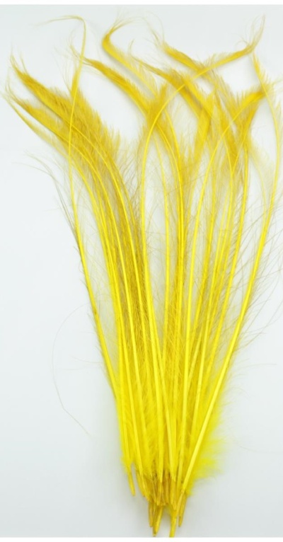Penas longas amarelas contra fundo branco