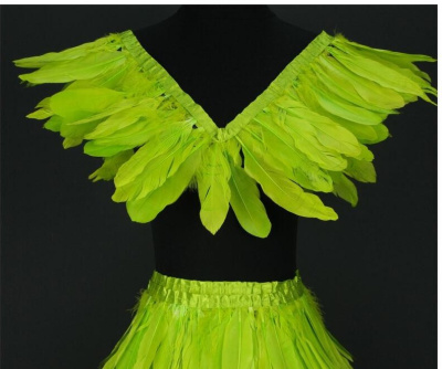 Conjunto de fantasia verde de penas com saia e coleira