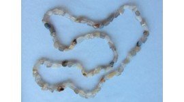 Colar de contas brancas, bege e castanho claro sobre fundo azul