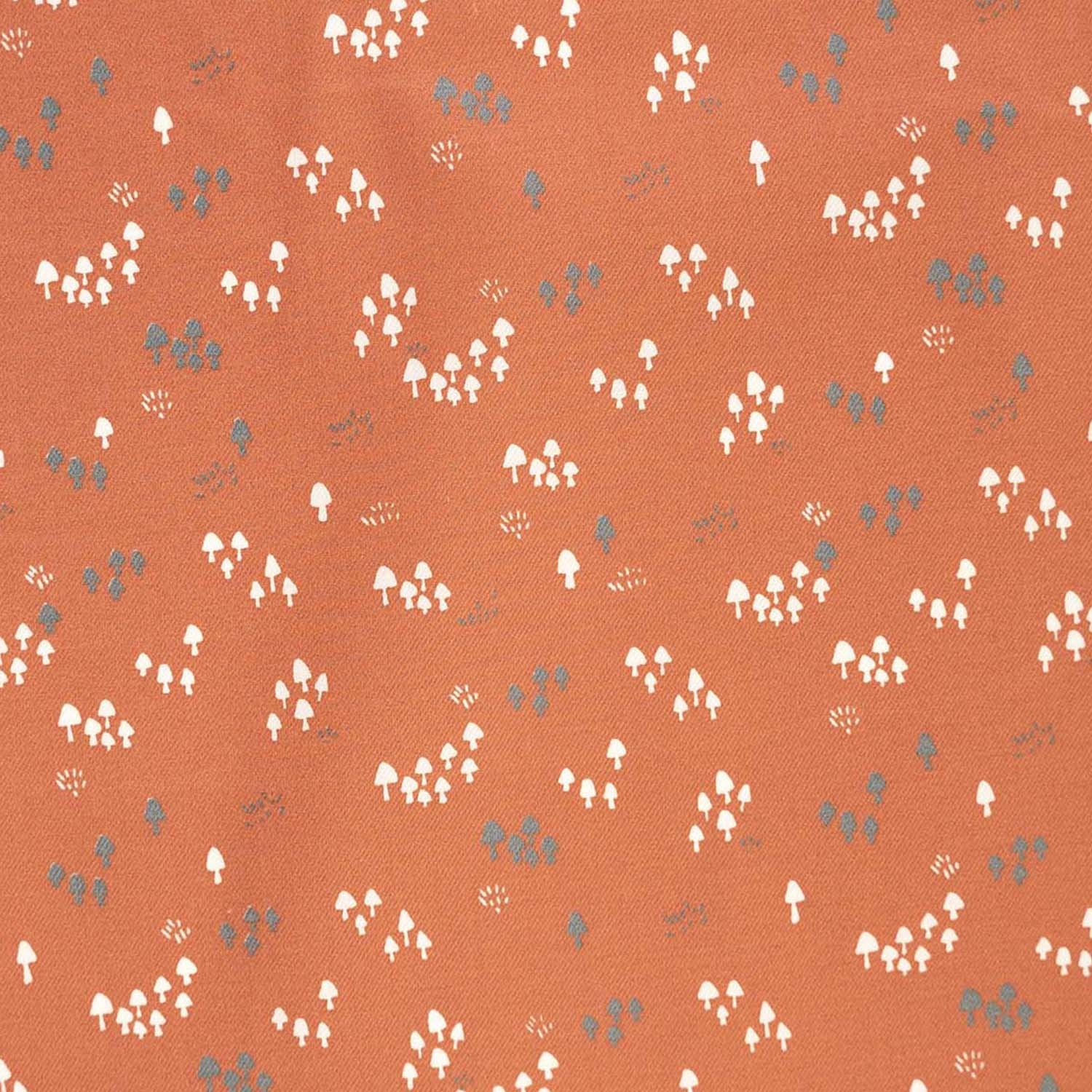 Coral Mushrooms - Vaiela Coral Mushrooms - Vaiela