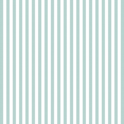 Riscas  - Plastificado