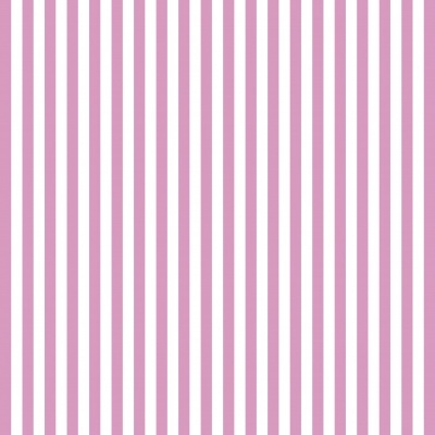 Riscas  - Plastificado