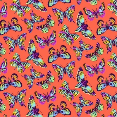 DayDreamer -   Butterfly Kisses Papaya