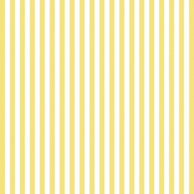 Riscas  - Plastificado