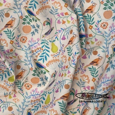 Songbird - Birds Natural