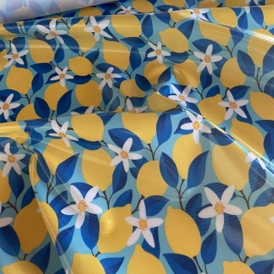 Limões - Plastificado