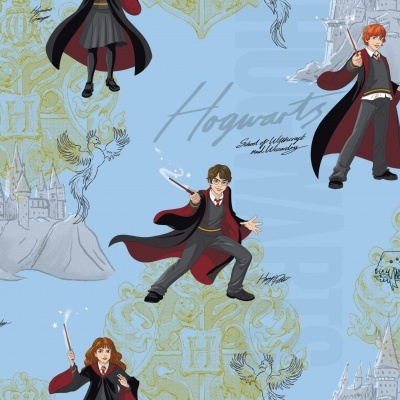 Harry Potter - Wizarding